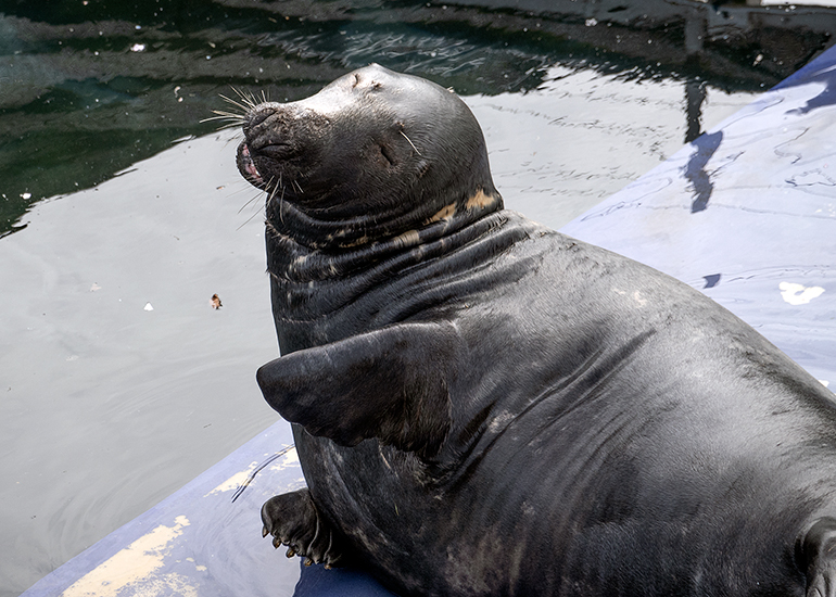 Hope you are taking a photo of my good side! - RAY
