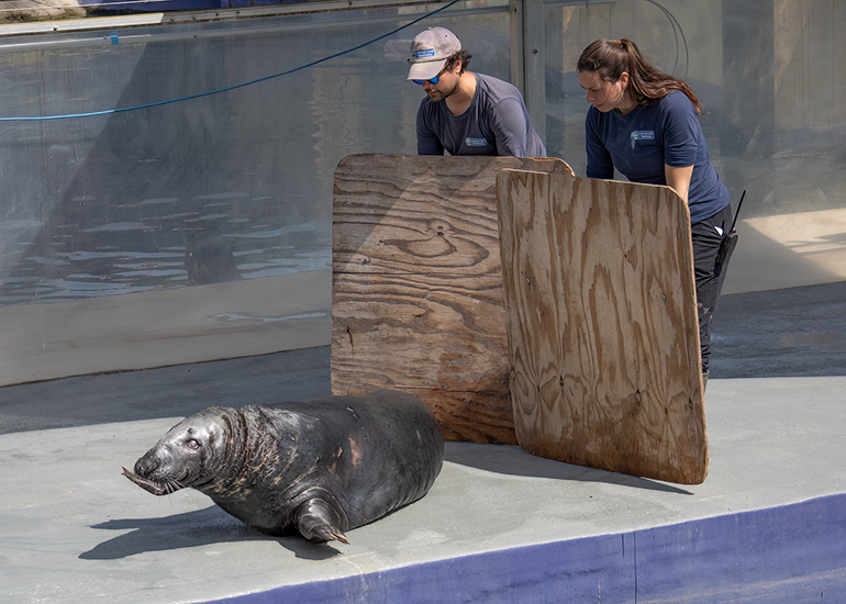 Its Marlin´s turn now to move to the next pool!