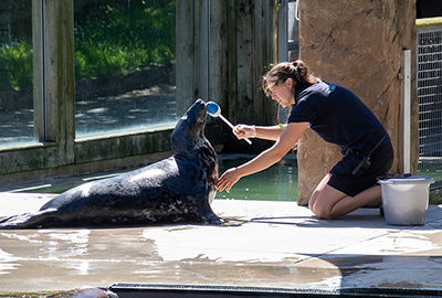 I don't want to complain, but how about changing that for a fish lolly pop instead?