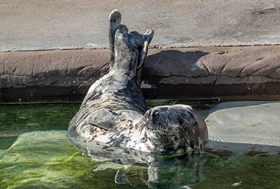 Just relaxing in the sun