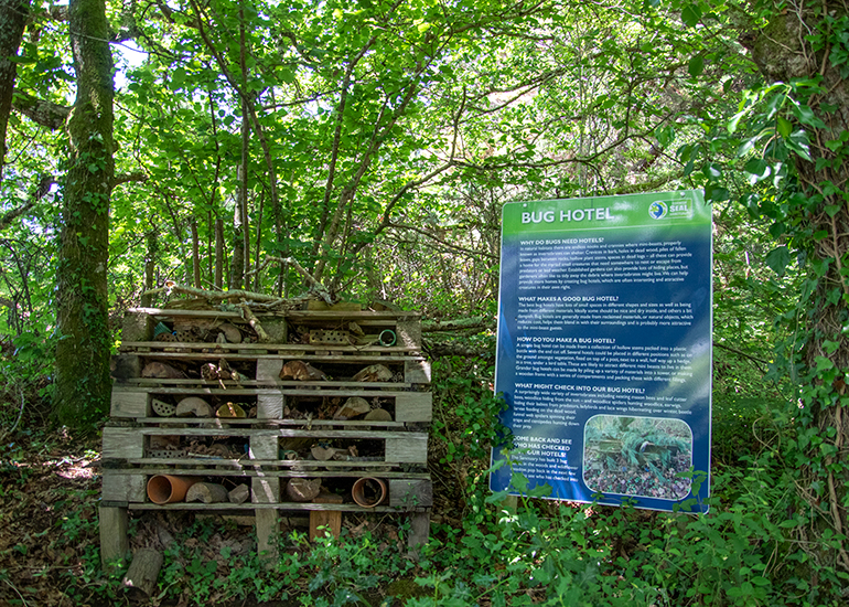 Bugs Hotel