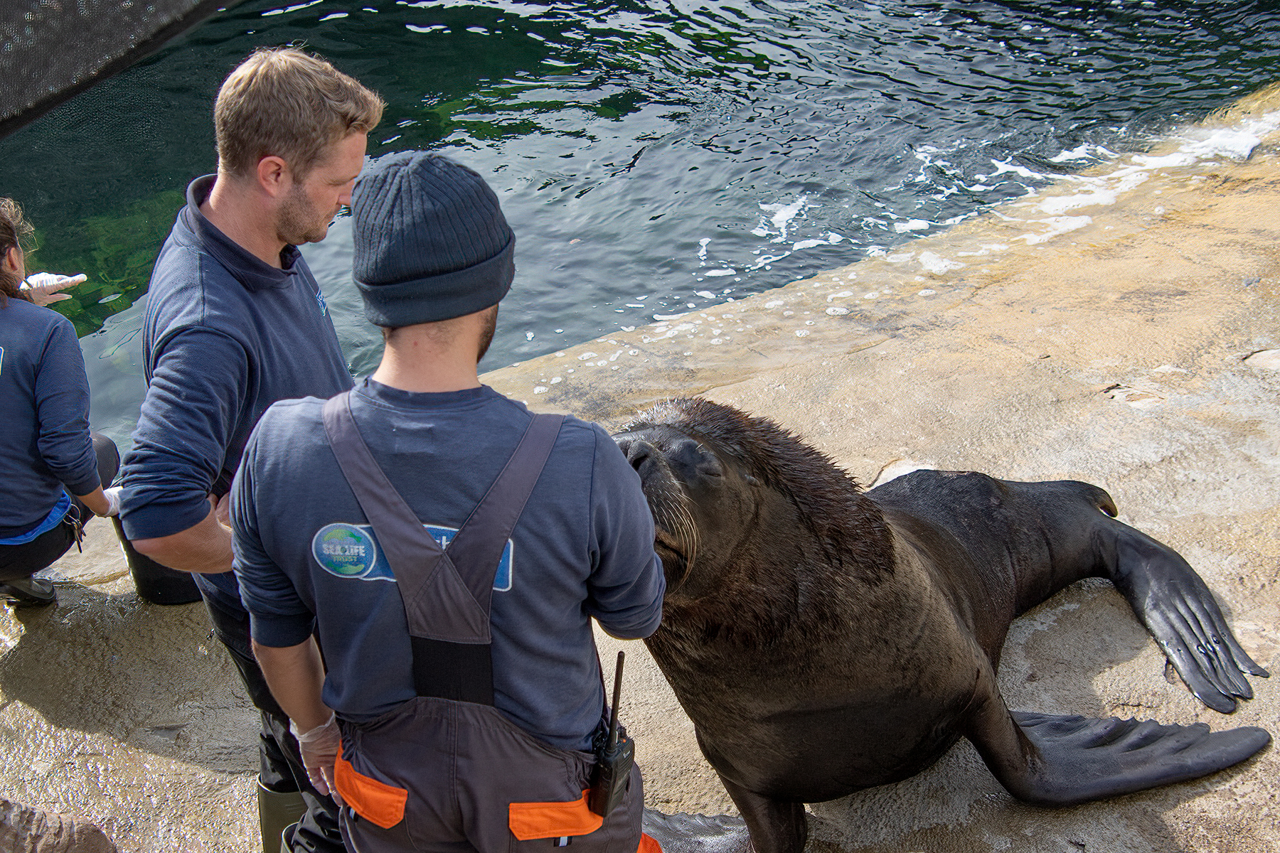 Ben and Elliot with Deigo