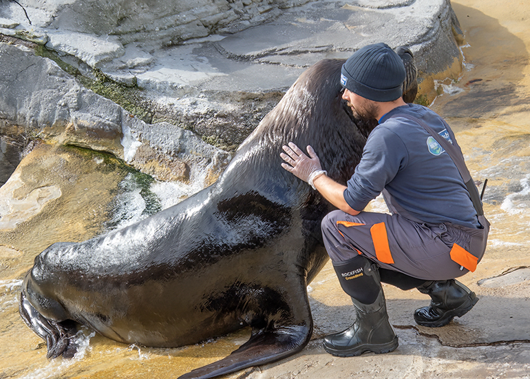 Elliot having a cuddle with Deigo!