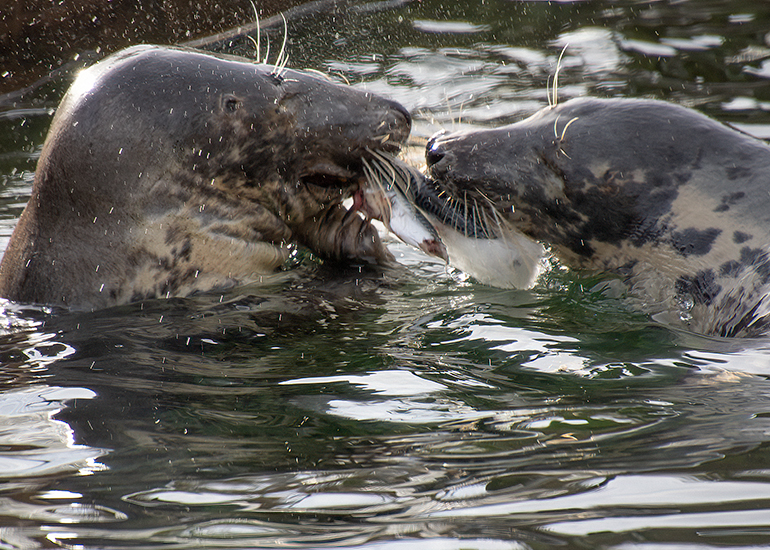 We can Share!