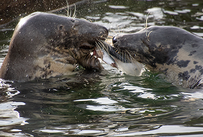We can Share!