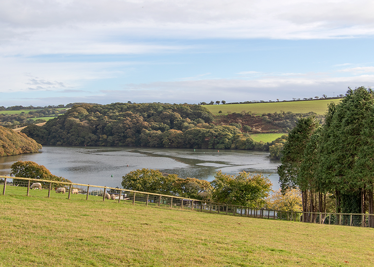 View across the Beautiful Estuary!