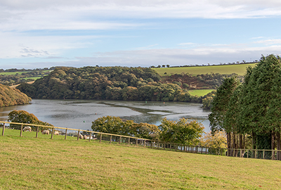 View across the Beautiful Estuary!