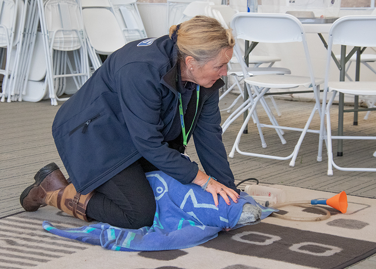 Vanessa doing a seal rescue demo!