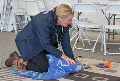Vanessa doing a seal rescue demo!