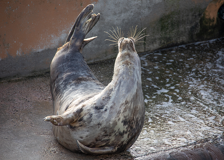 A lovely Stretch! - Aayla