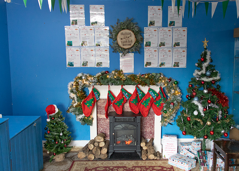 Christmas at the Cornish Seal Sanctuary
