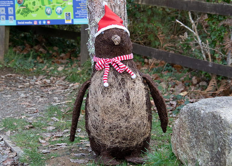 Christmas Nature Walk