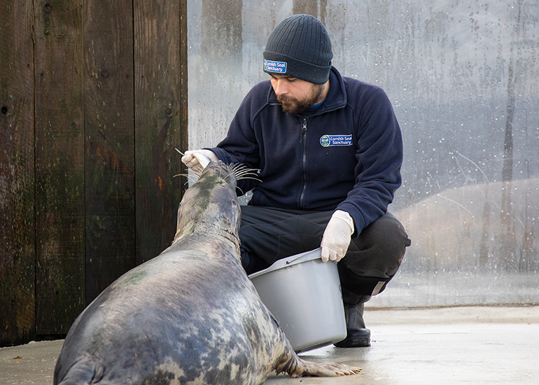 Elliot feeding Sheba!