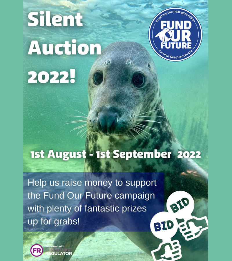 Silent Bid - From 1st August to 1st September 2022