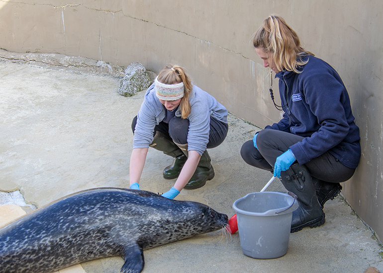 Checking Buddy's Flipper