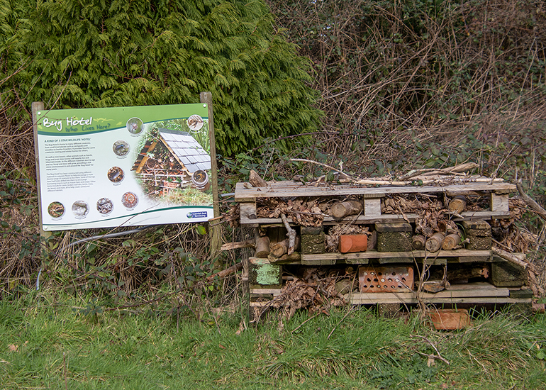 Bug Hotel