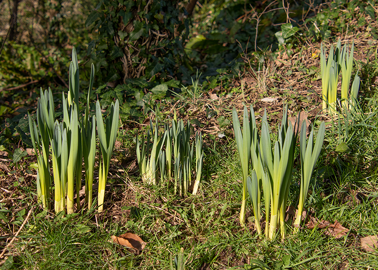 Spring is nearly here!