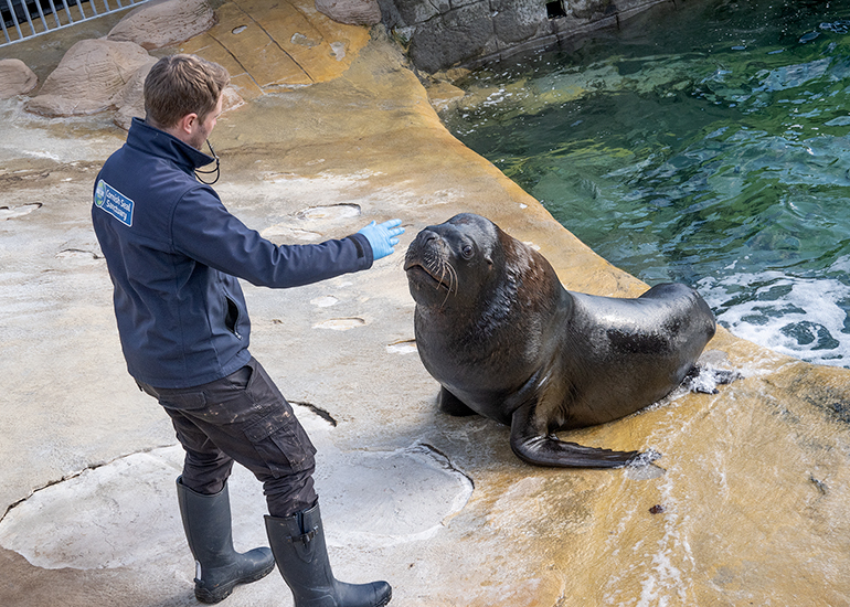 Pleeeeassssseeeee Ben can I have another Fish!
