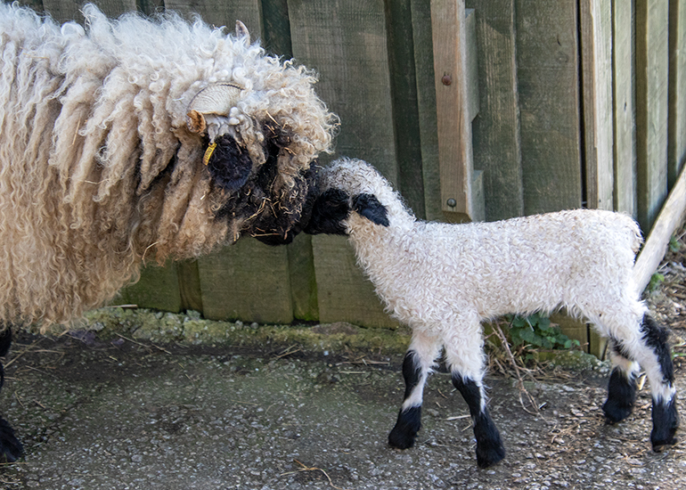 Iona with her son Komper!