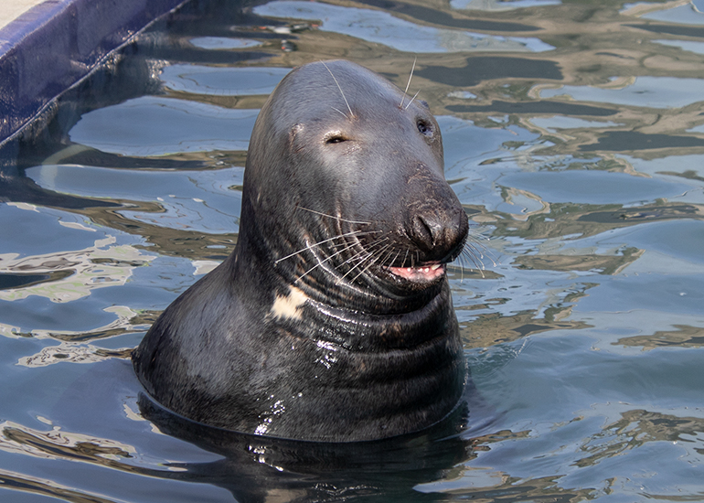 Ray is always smiling