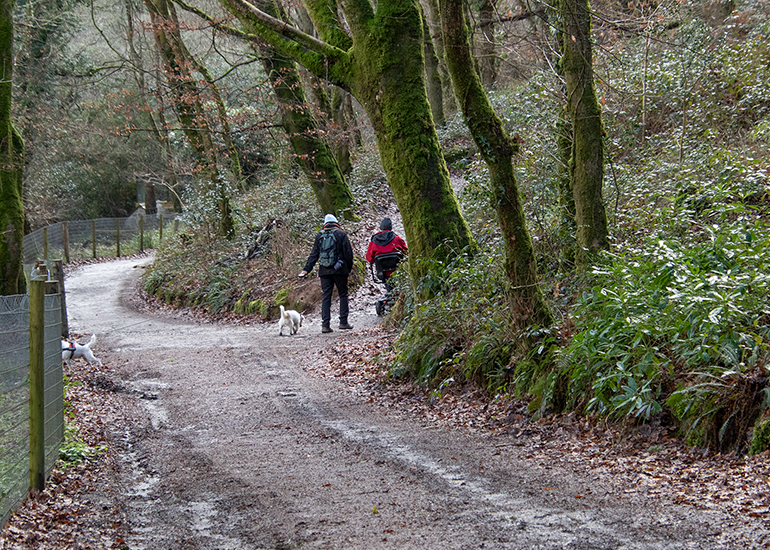 Nature Trail Walk - wheel chair friendly!
