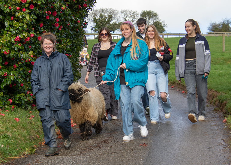 These lovely visitors walking Komper with Katie!