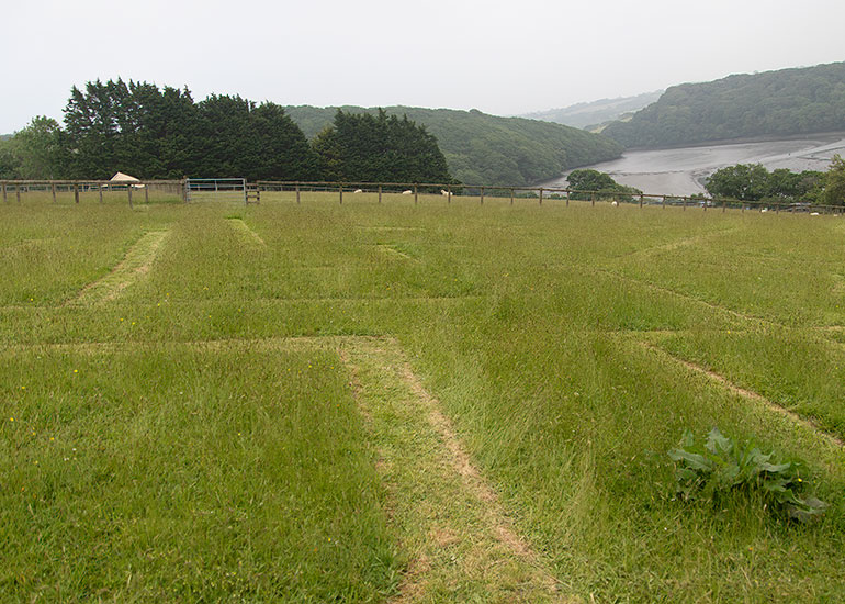 Cornish Seal Sanctuary