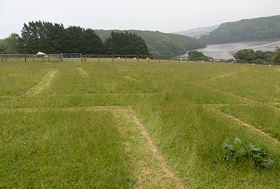 Cornish Seal Sanctuary