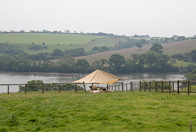 Cornish Seal Sanctuary