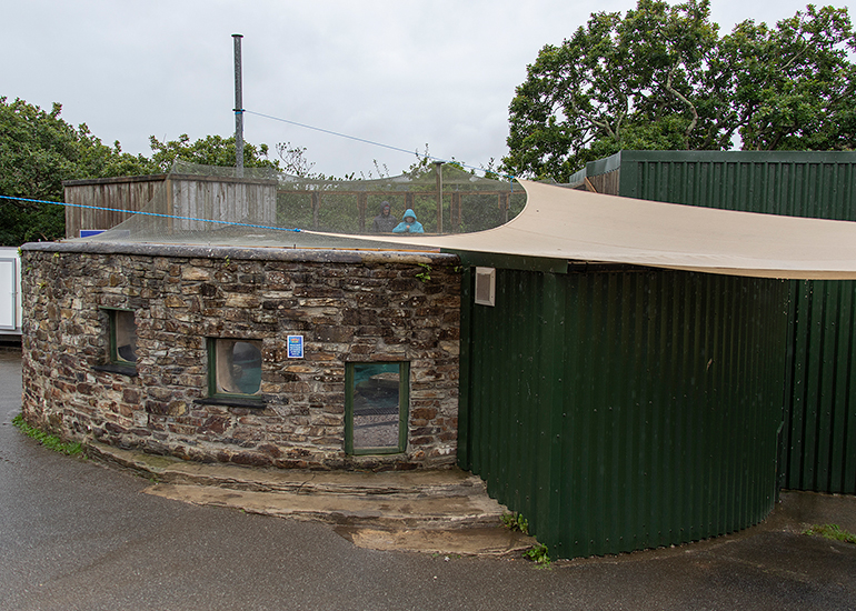 Puffin Enclosure