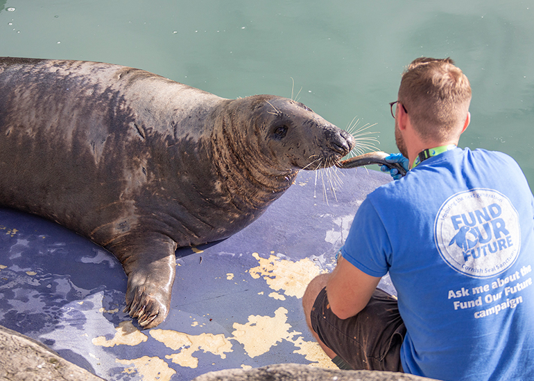 Cornish Seal Sanctuary