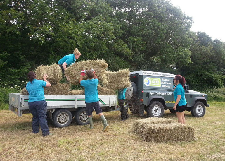 Some of the staff helping to get the hay onto the trailer.