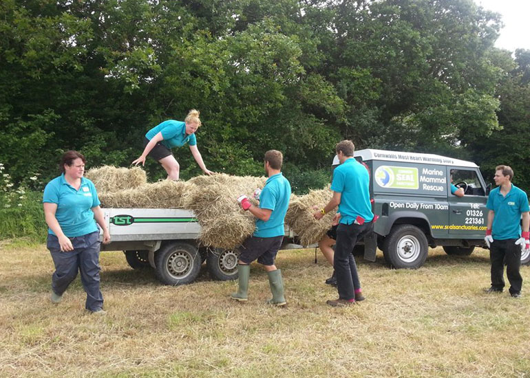 Some of the staff helping to get the hay on to the trailer