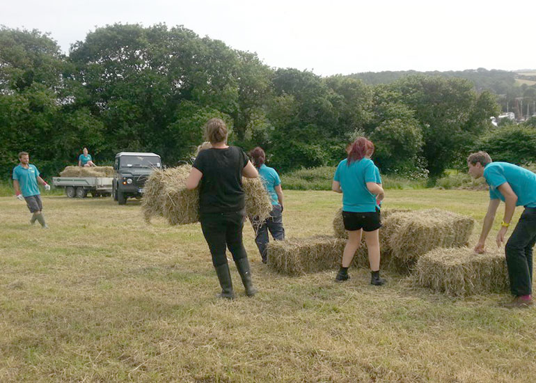 Some of the staff helping to get the hay onto the trailer