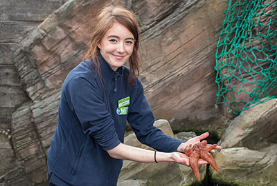 Caitlain showing us how to hold a starfish