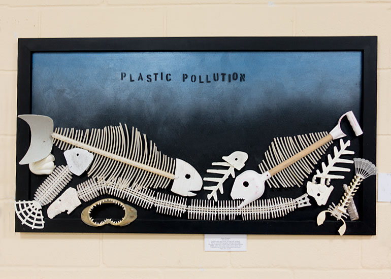 Plastic Pollution by Rob Arnold