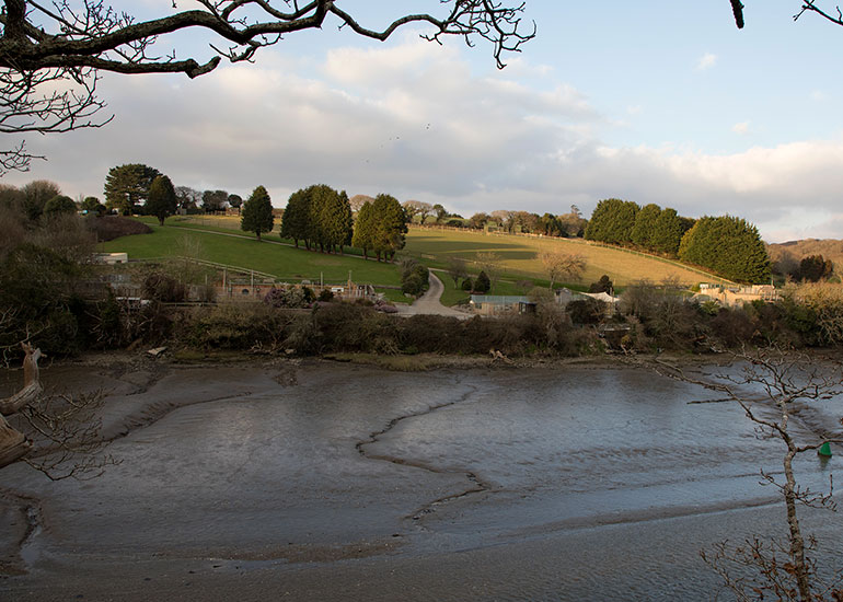 View across the estuary to the Cornish Seal Sanctuary