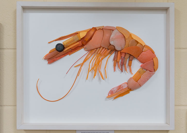 Plastic Pollution by Rob Arnold
