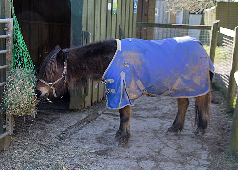 Tuppence enjoying an afternoon snack!