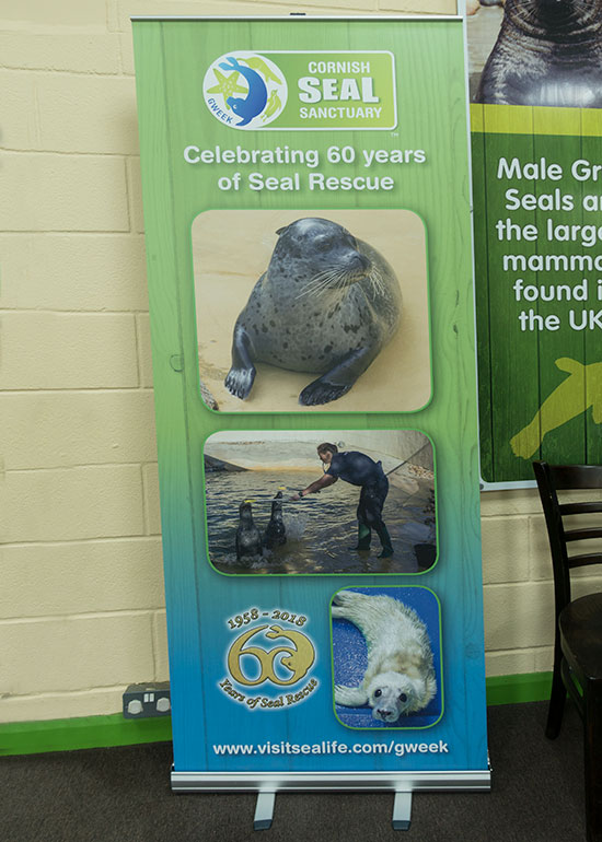 Celebrating 60 years of Seal Rescue