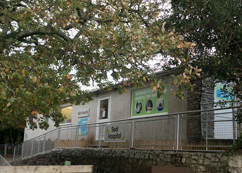 Seal Hospital