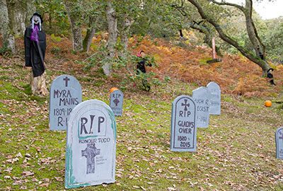 Spooky Halloween Week