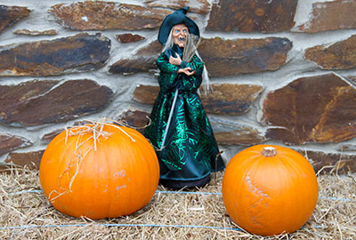Spooky Halloween Week