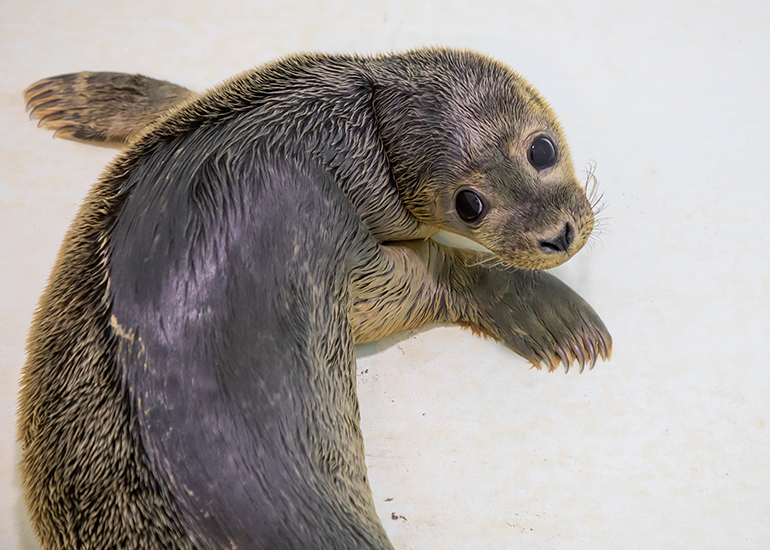 Gwen - photo taken on 14th July 2019