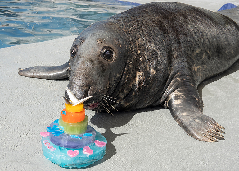 Happy 34th Birthday Logs
