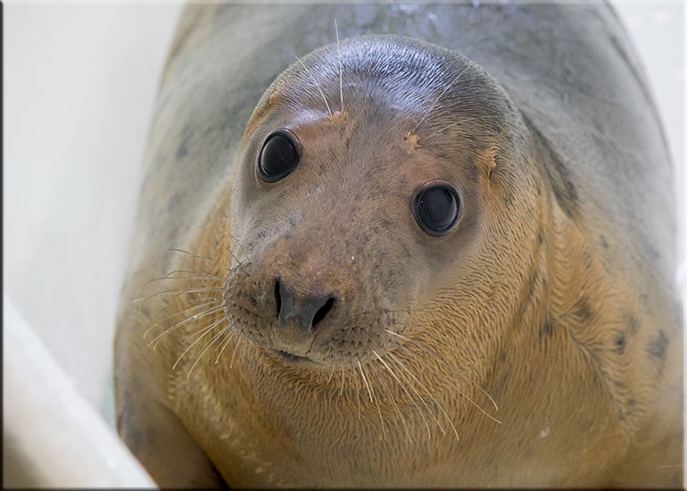 Hemera - photo taken on 7th June 2015