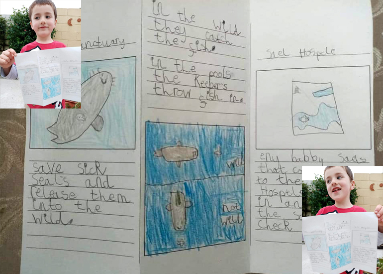 Henry makes a Sanctuary Leaflet