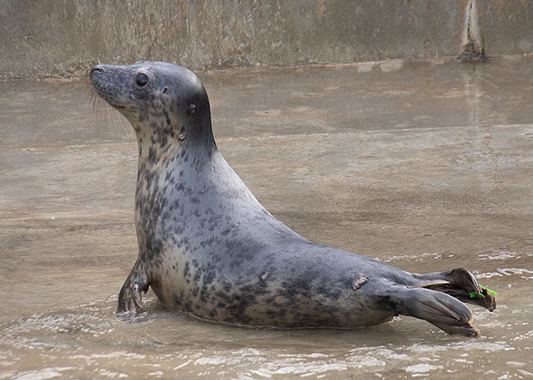 Hetty - Photo taken on 4th December 2020