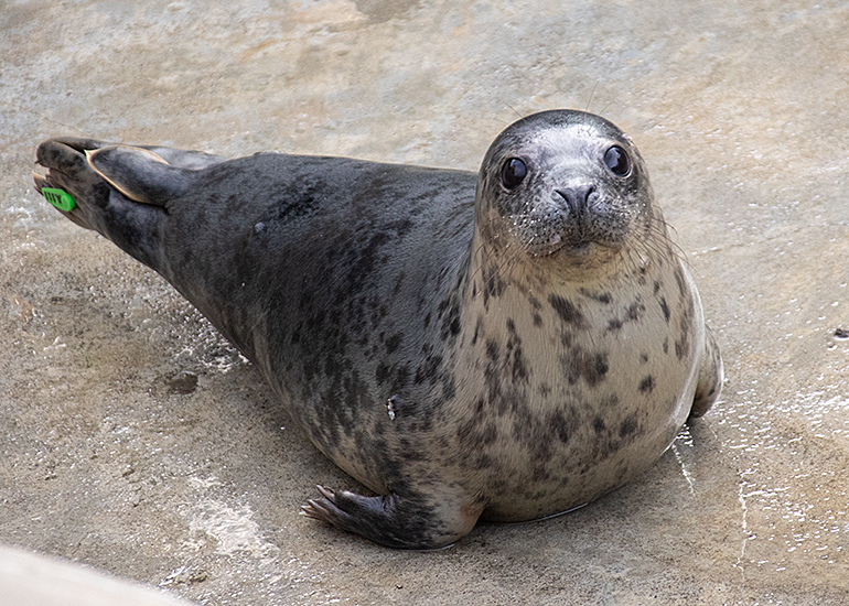 Hetty - Photo taken on 4th December 2020