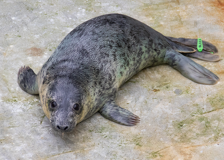 Hetty - Photo taken on 30th October 2020